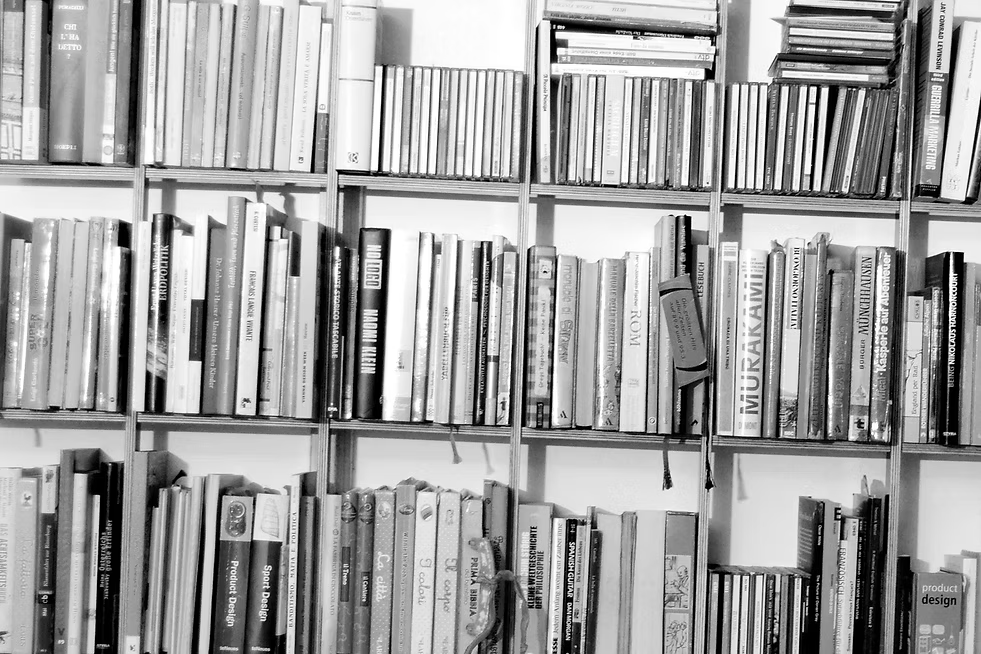 BREUER & BONO SCHLAGSITE SS-49-B/W Wall Bookshelf – Birch Black/White