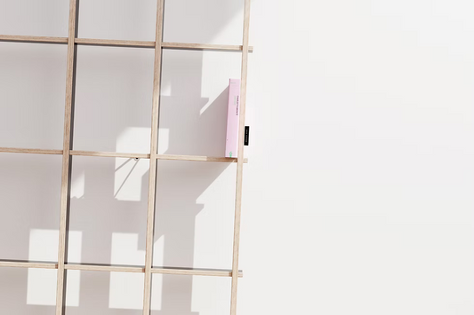 BREUER & BONO SCHLAGSITE SS-28 Minimalist Wall Bookshelf – Birch Black/White