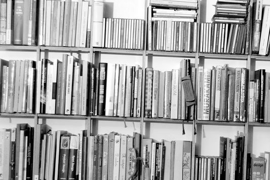 BREUER & BONO SCHLAGSITE SS-35-B/W Wall Bookshelf – Birch Black/White