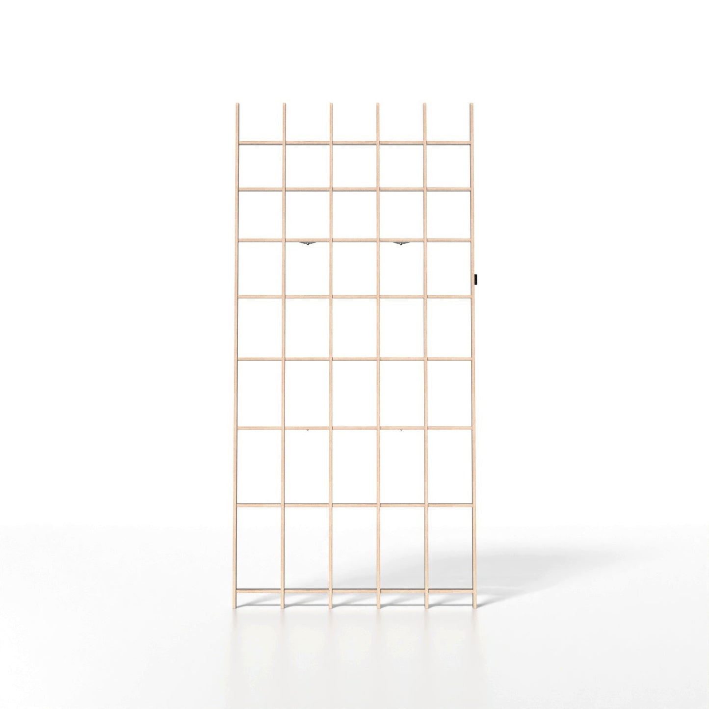 BREUER & BONO — EIGER