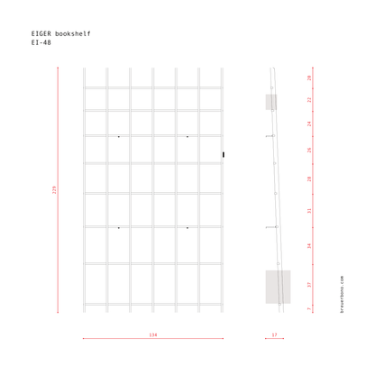 BREUER & BONO — EIGER