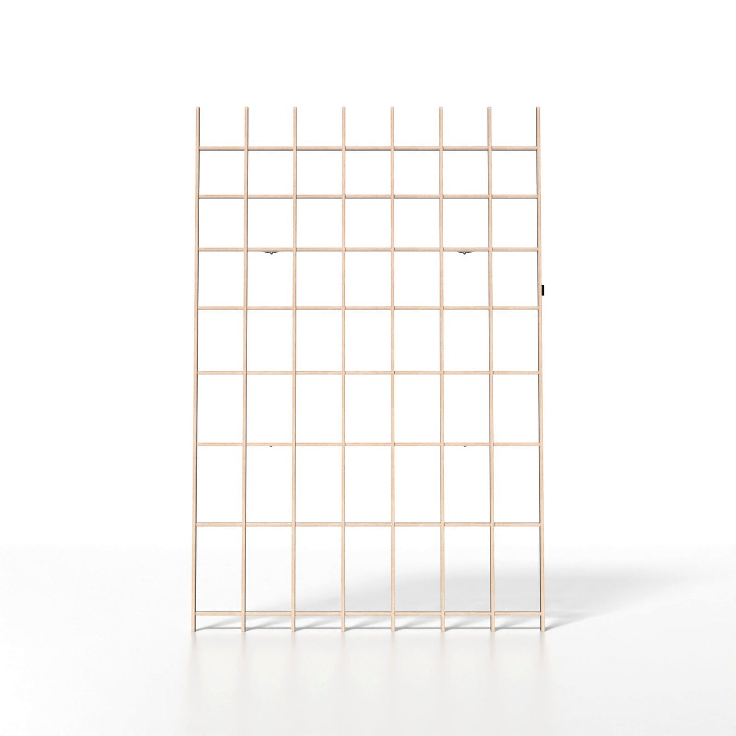 BREUER & BONO — EIGER