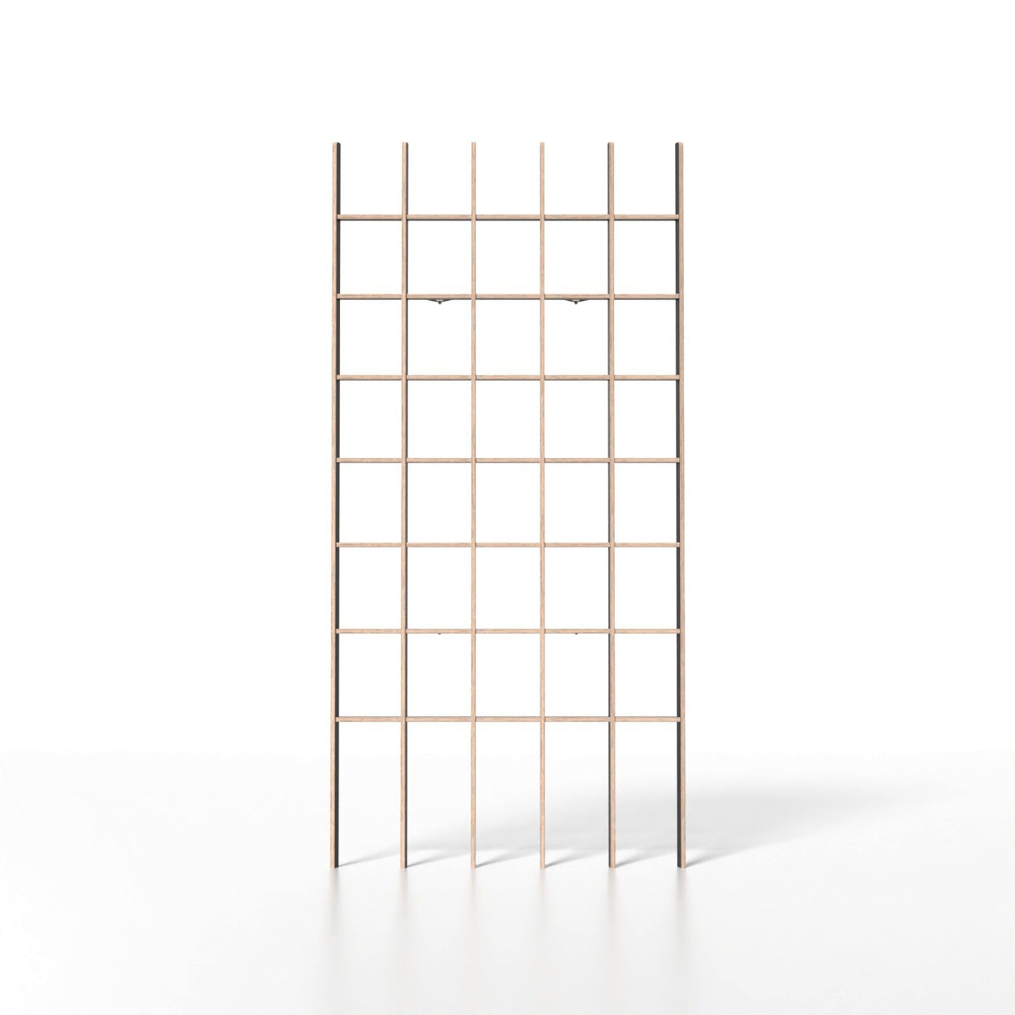 BREUER & BONO — OPEN