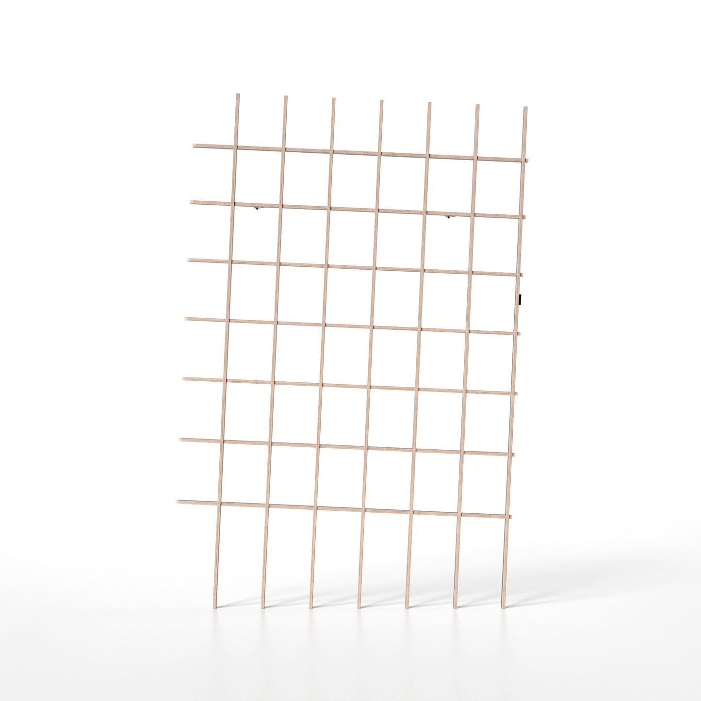 BREUER & BONO — SCHLAGSEITE