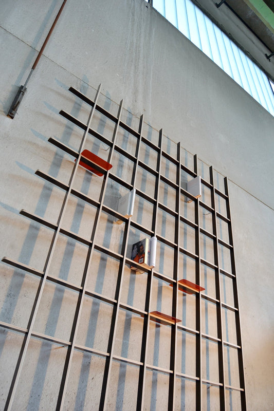 BREUER & BONO — ANY'THING